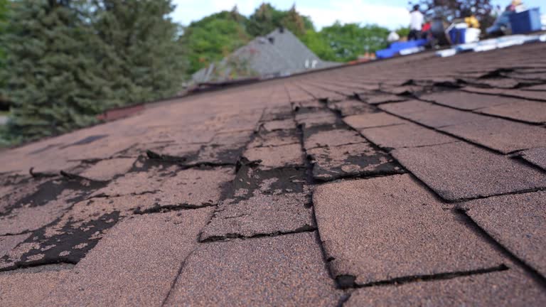 Best Emergency Roof Repair Services  in Whitesburg, KY